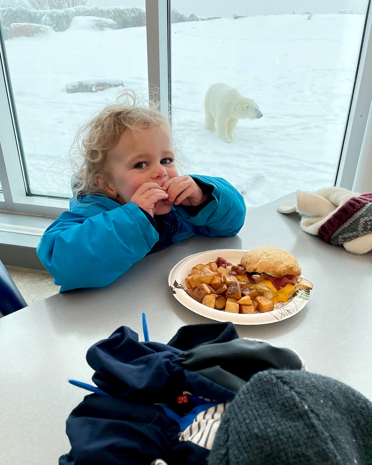 Child eats at the Tundra Grill with a polar bear in the background